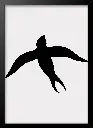aanimals22_framed.webp