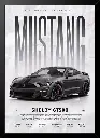 Mustang.webp